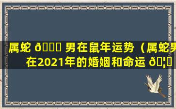 属蛇 🐞 男在鼠年运势（属蛇男在2021年的婚姻和命运 🦉 咋样）